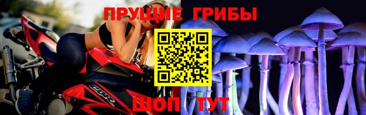Пугачёв  Галлюциногенные грибы GOLDEN TEACHER  Вход с VPN 