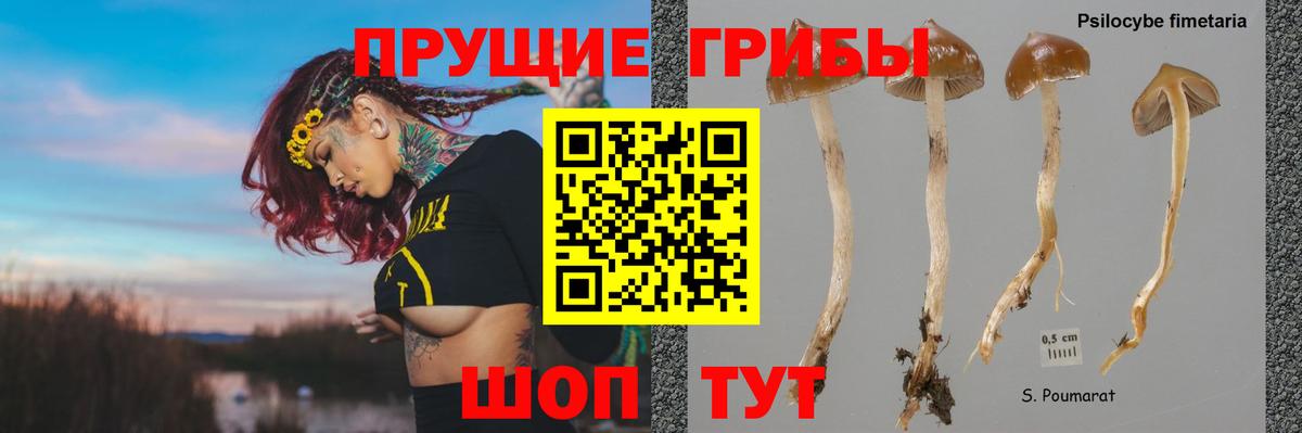 Псилоцибиновые грибы мухоморы Пугачёв